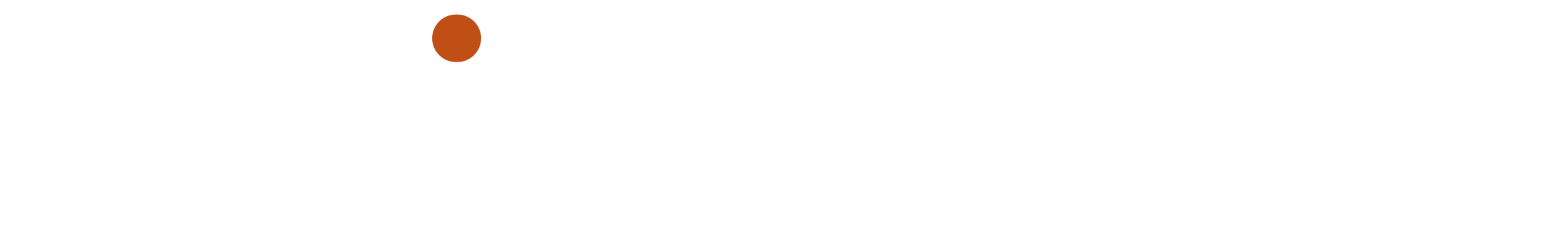 logo light